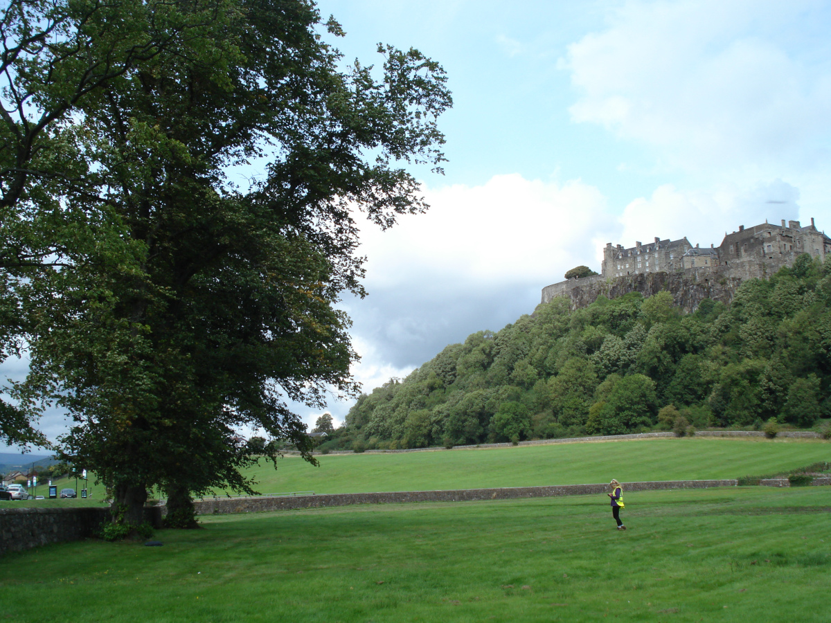 Common Lime Kings Knot, Stirling Castle