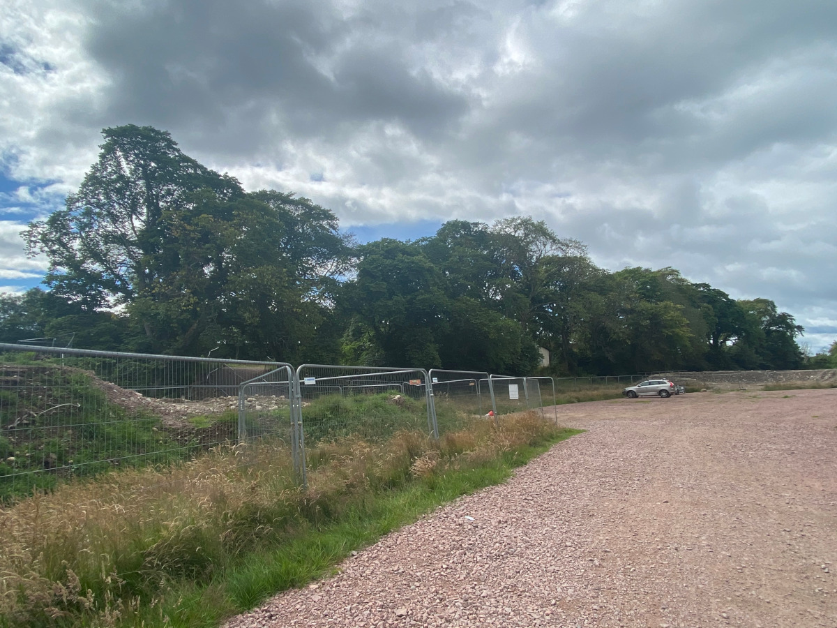 Dutch Elm Disease Survey, Inverness