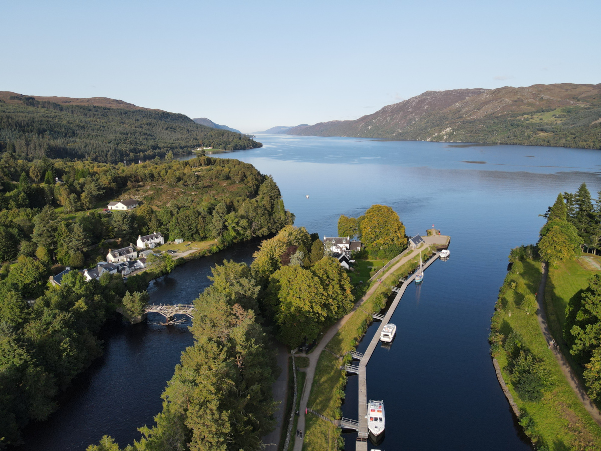 Dutch Elm Disease Survey, Inverness