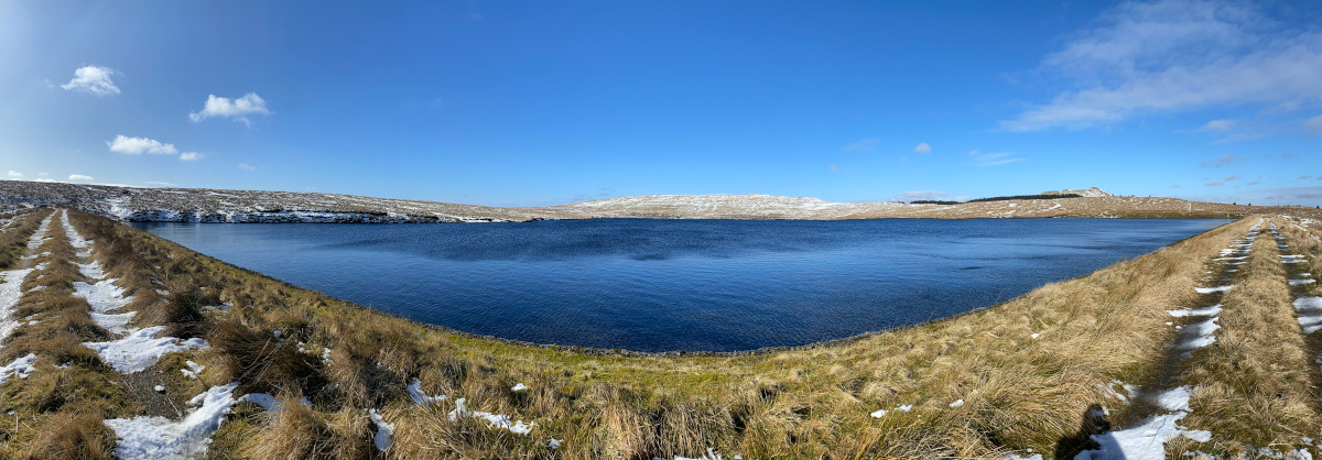 Dutch Elm Disease Survey, Inverness