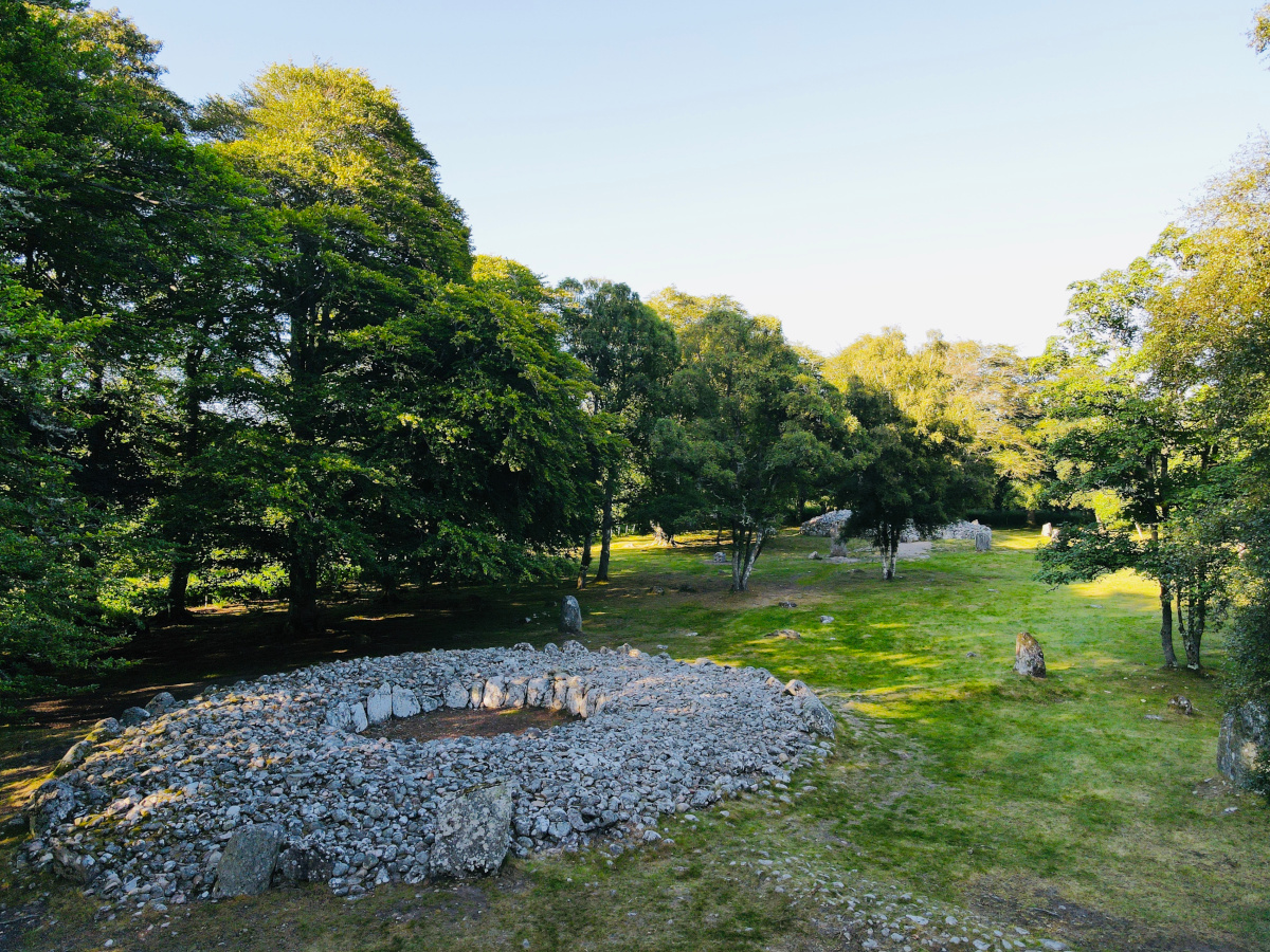 Common Ash Codominany Failure, Pitlochry