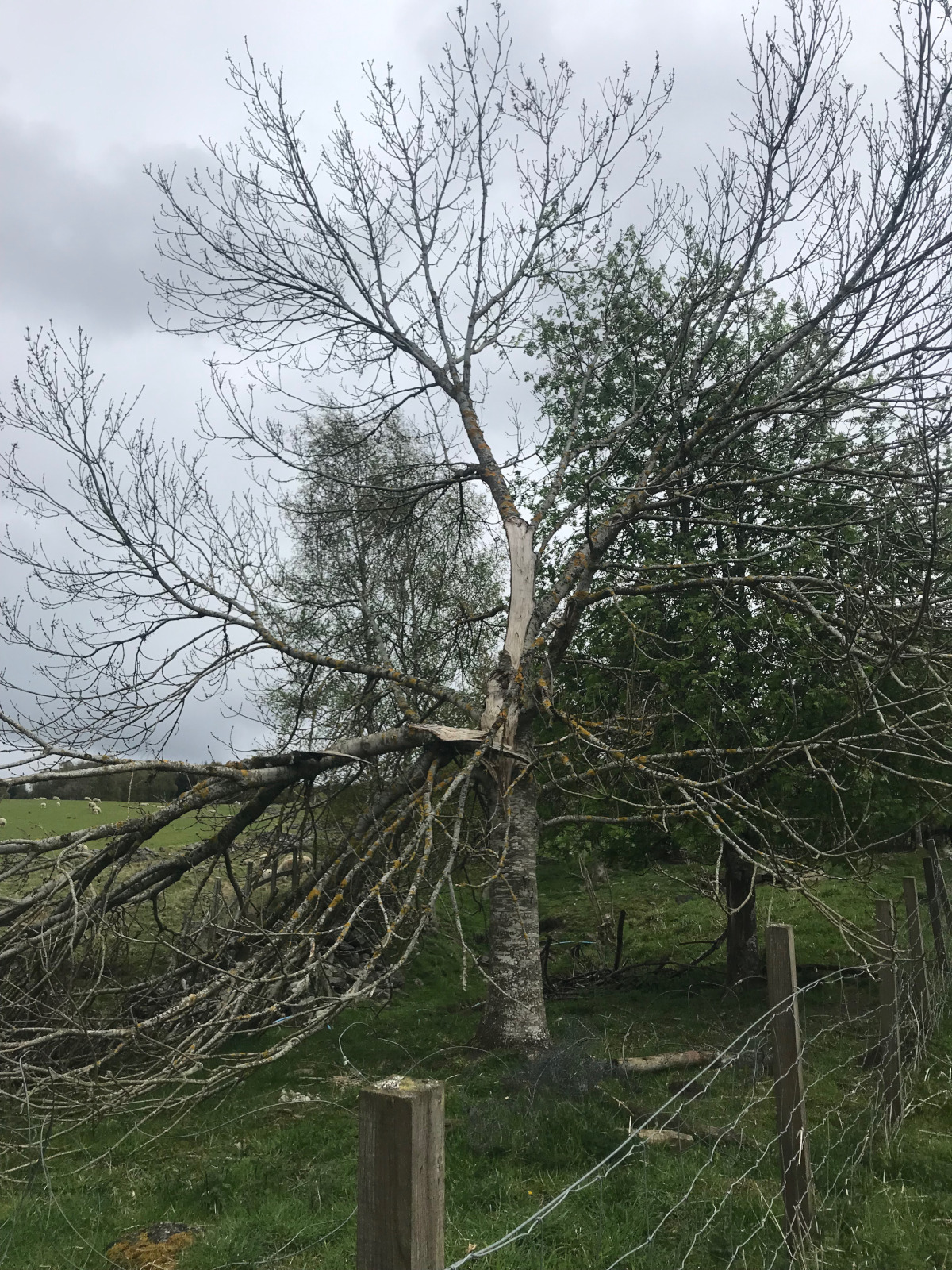 Clava Cairns Inverness