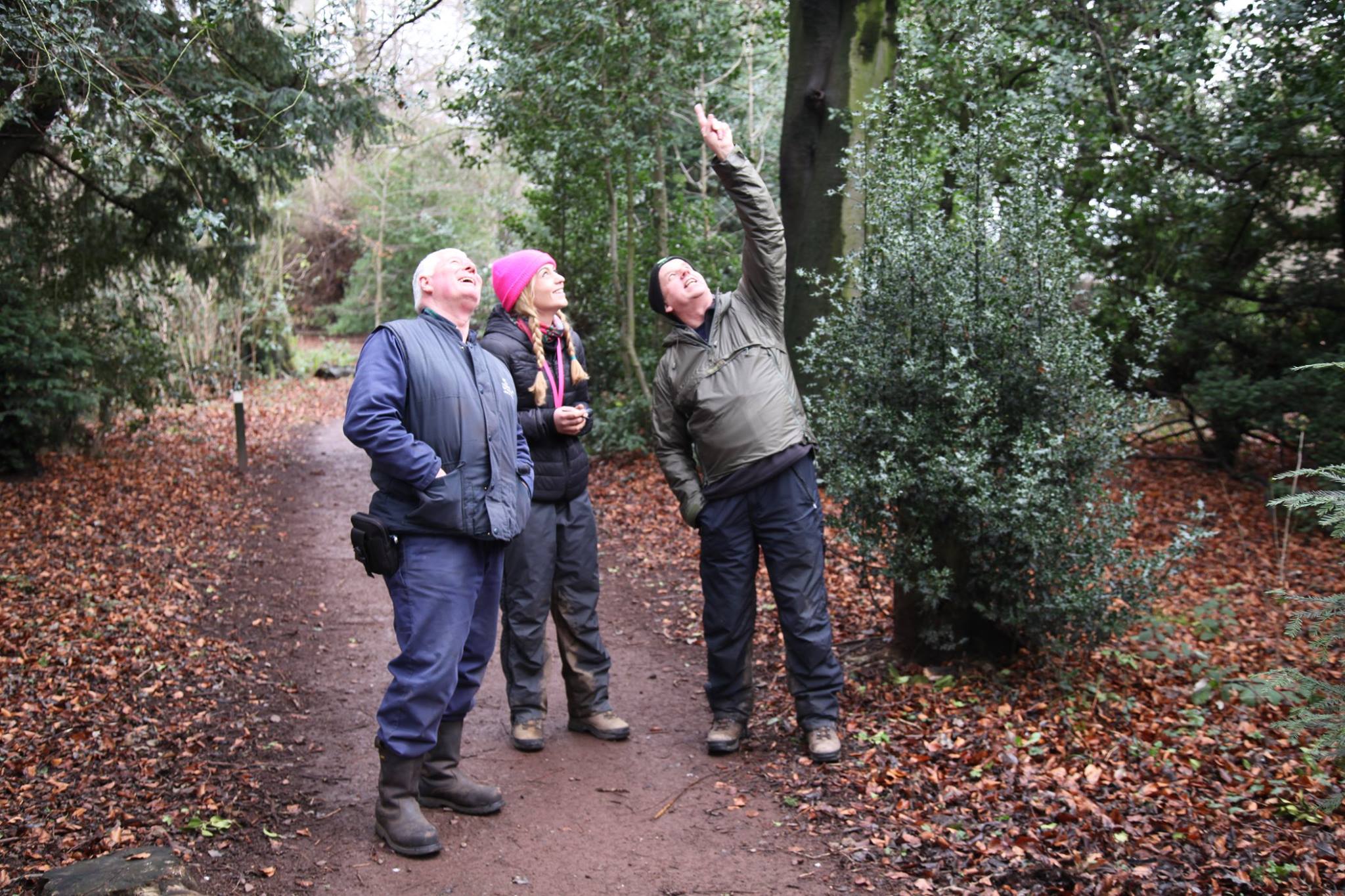 A&R Inverness woodland survey